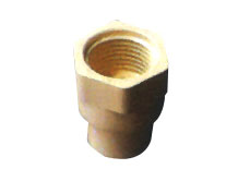 CPVC Pipe Fittings