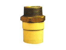 CPVC Pipe Fittings